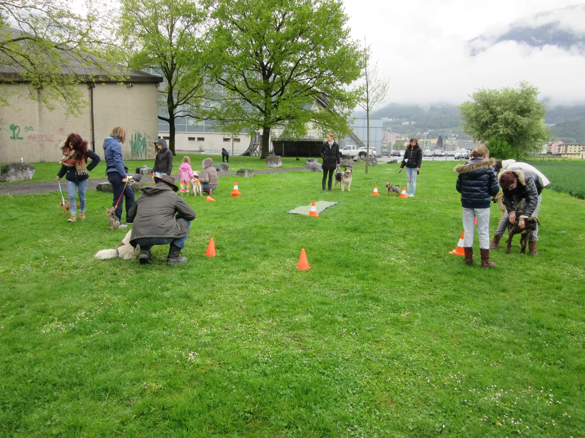 Le glas des cours canins - Éducation canine Valais - Nouveaux Cours