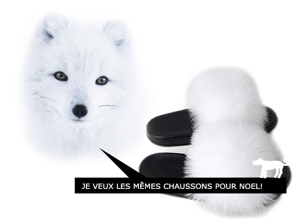 Fourrures importées - Renard des neiges