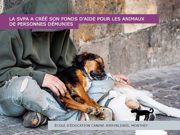 La Svpa crée un fond d'aide pour chiens de personnes démunies