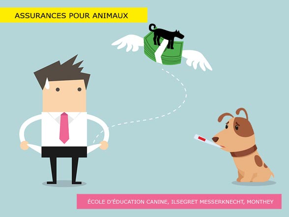 Assurances pour animaux de compagnie en Suisse