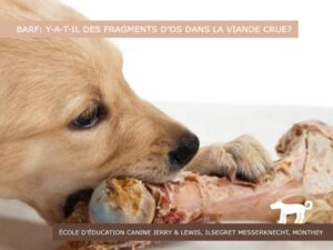 Barf: Y-a-t-il des os dans la viande crue ?