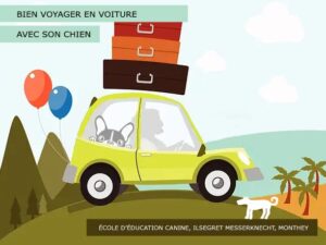 Bien voyager avec son chien