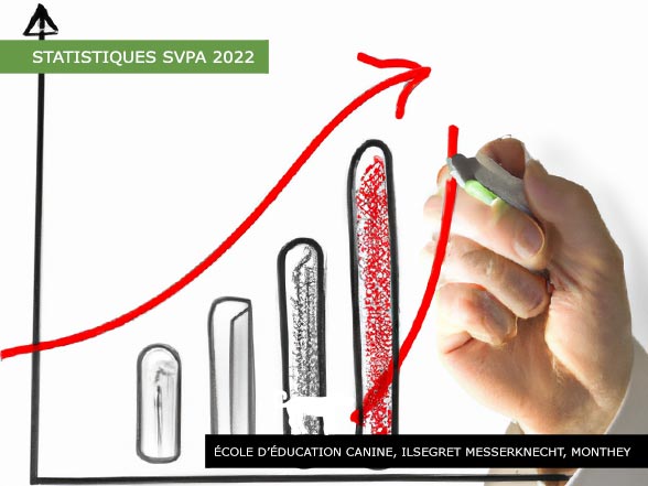 Statistiques SVPA 2022