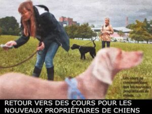 Cours canins Valais