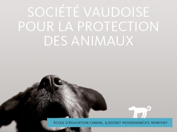 Faire un don à la SVPA