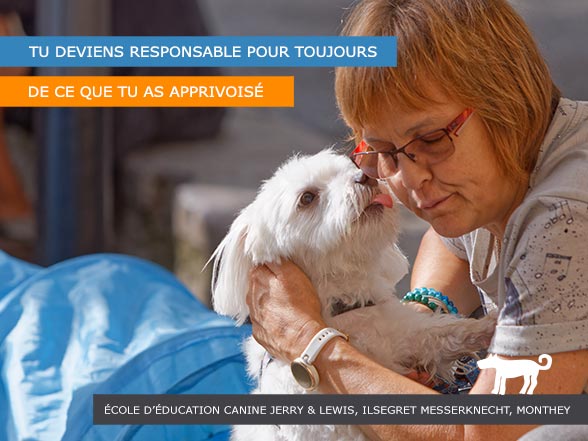 Animaux adoptés - Responsable pour toujours