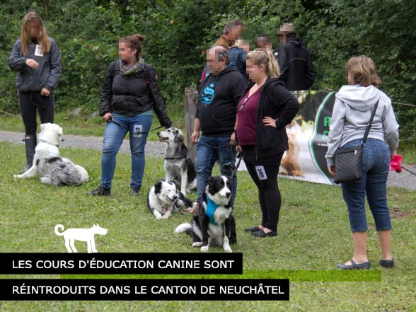Éducation Canine Neuchatel