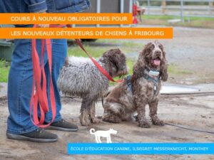 Education canine obligatoire à Fribourg