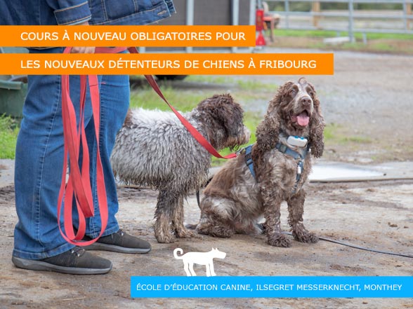 Education canine obligatoire à Fribourg