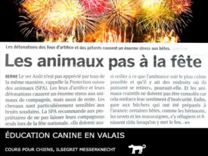 Feux d'artifices du 1er août et les chiens