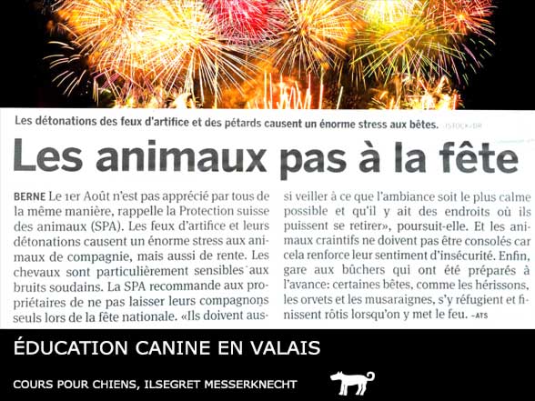 Feux d'artifices du 1er août et les chiens