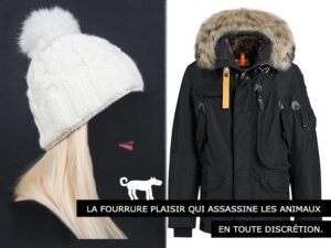 Fourrures importées - Assassins d'animaux