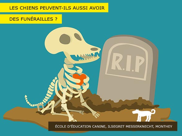 Funérailles pour chiens