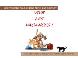 Les pensions pour chiens affichent complet