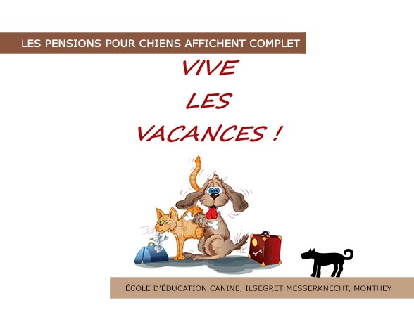 Les pensions pour chiens affichent complet