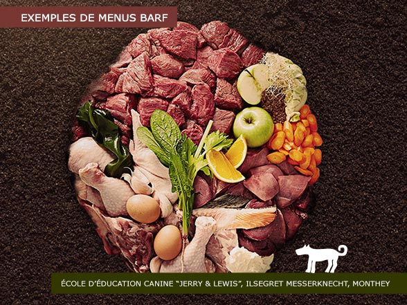 Idées et exemples menus Barf - École d'éducation canine Jerry&Lewis Monthey