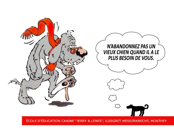 Vieux chiens et arthrose