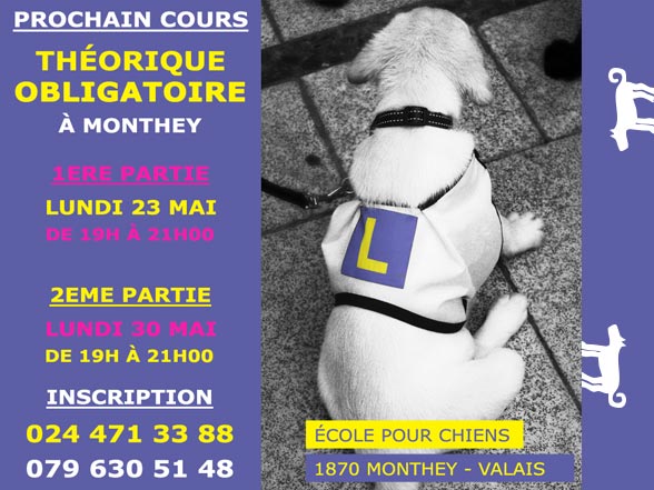 Théorie obligatoire nouveaux propriétaires canins-mai 2016