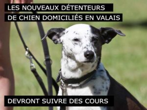 Valais - Cours Obligatoires Proprietaires de Chien