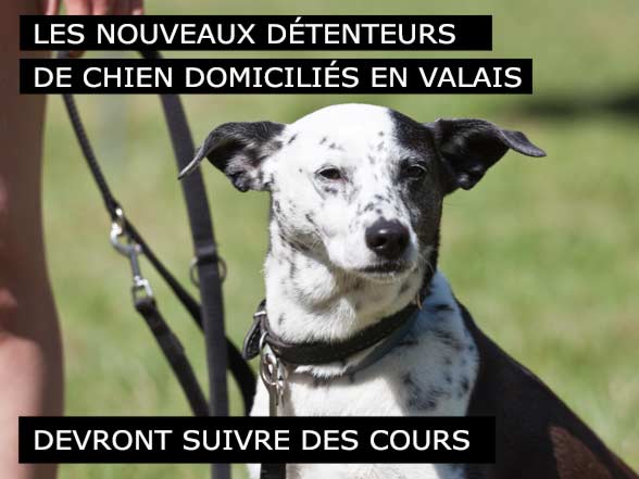 Valais - Cours Obligatoires Proprietaires de Chien