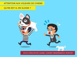 Voleurs de chiens en Suisse et ailleurs
