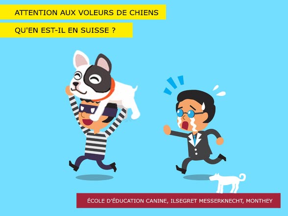 Voleurs de chiens en Suisse et ailleurs