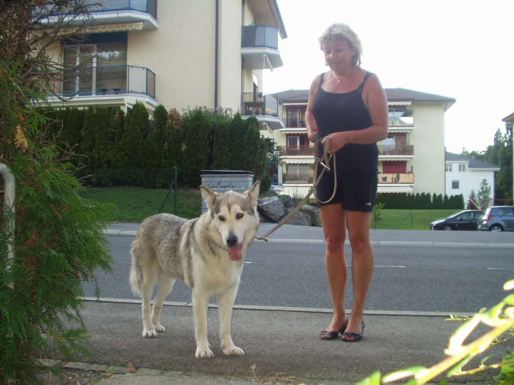 Une dame tenant son chien en laisse