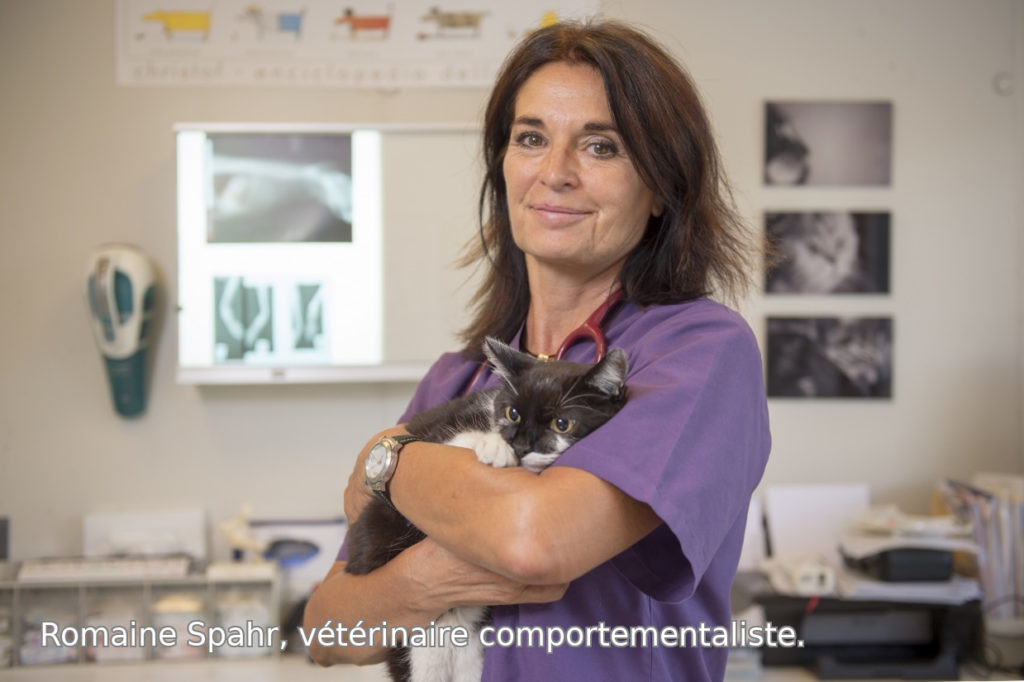 Romaine Spahr, vétérinaire comportementaliste.