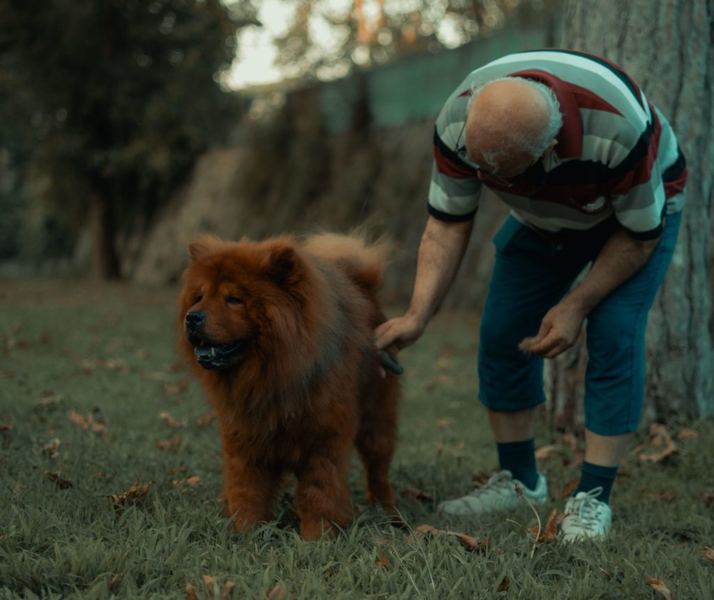 Photo d'un senior avec un chien