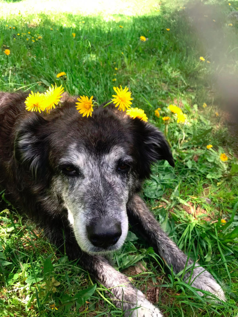 Photo de Mady avec des fleurs sur la tête